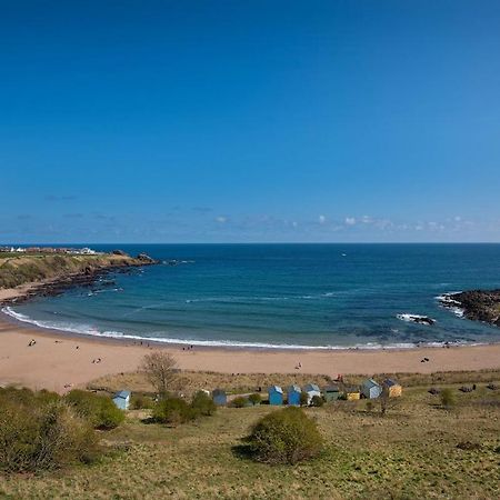 7 The Bay Villa Coldingham Exteriör bild