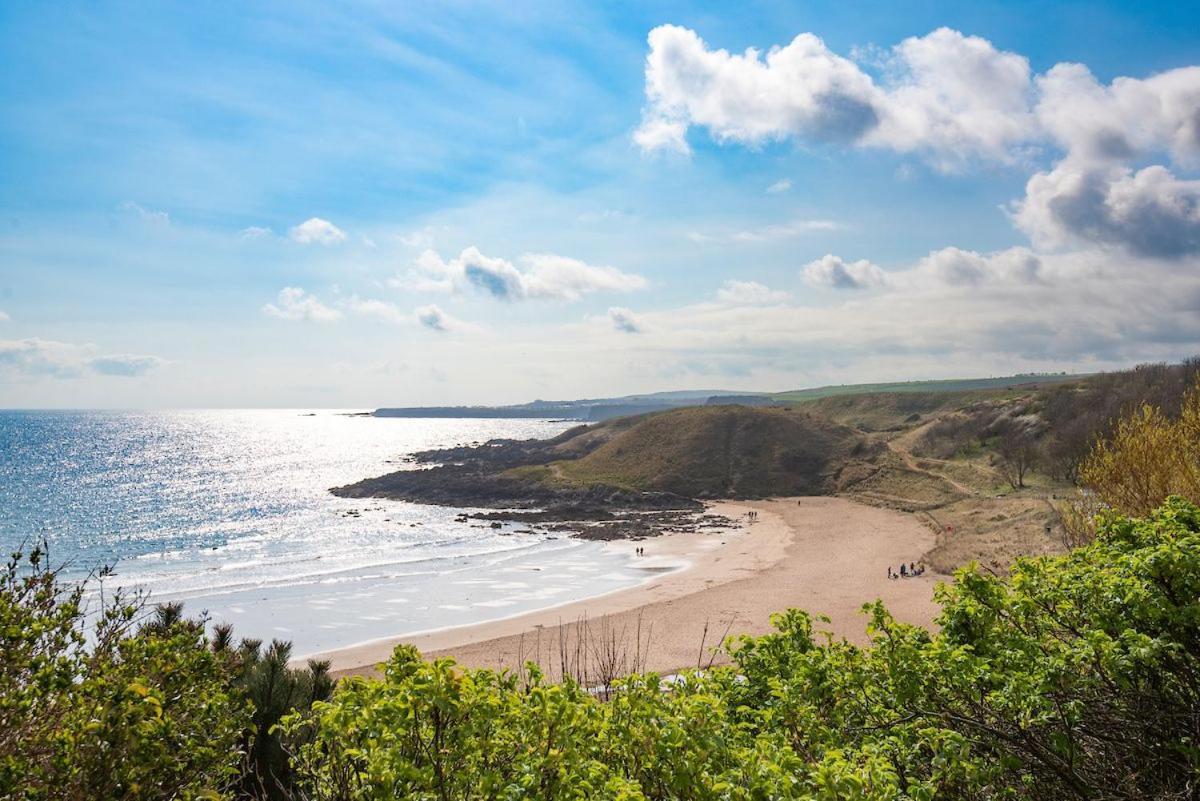 7 The Bay Villa Coldingham Exteriör bild